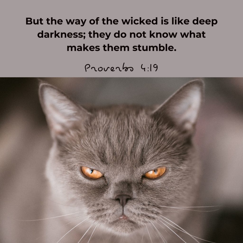 Proverbs 4:19 But the way of the wicked is like deep darkness; they do not know what makes them stumble. 