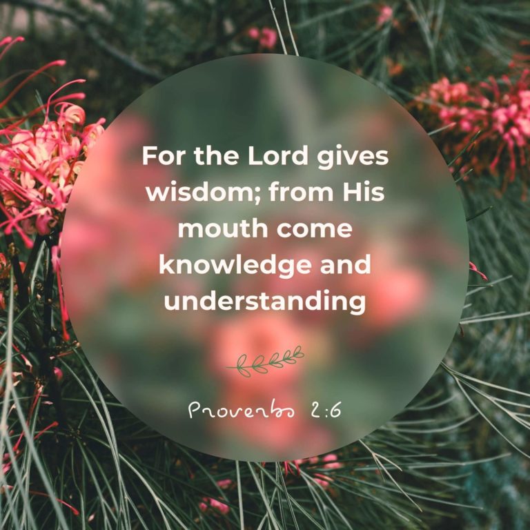 How do we become wise? God’s Wisdom Study Week 3